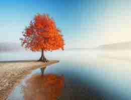 最​新‌数​据﻿库﻿优‍化‌方‌案﻿有​哪﻿些​